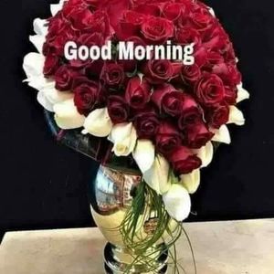 Meet your Posher, Shabana marcus